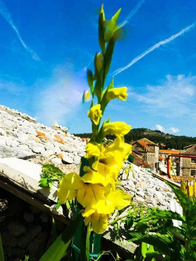 Guest House San Nikola Stari Grad (Hvar) Exteriér fotografie