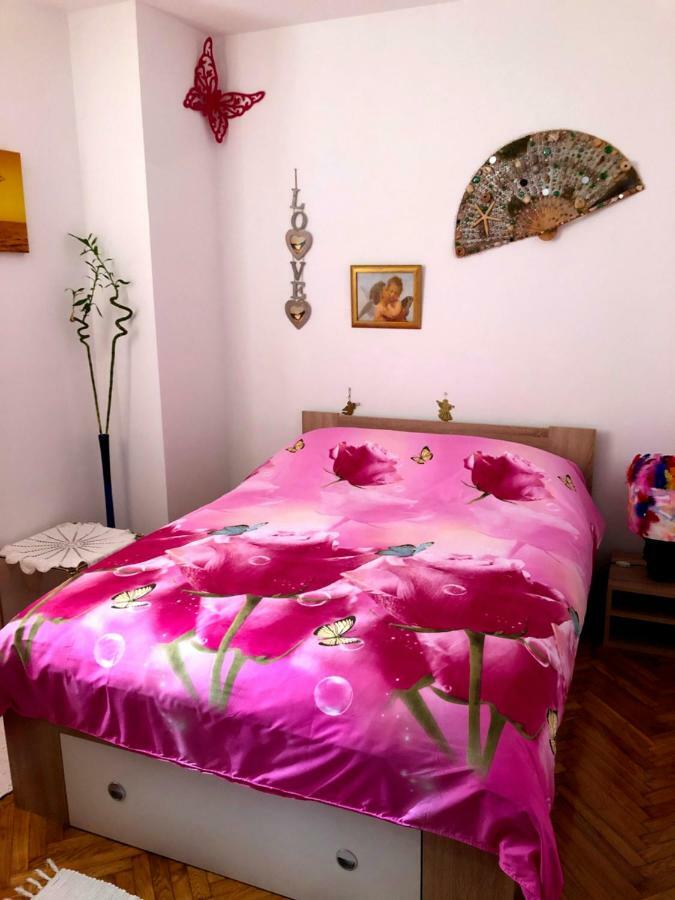 Guest House San Nikola Stari Grad (Hvar) Exteriér fotografie